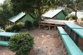 福山少年自然の家キャンプ場
